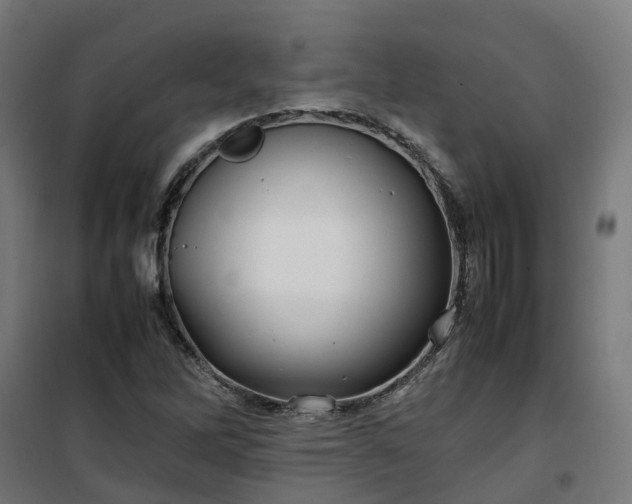 X0000100491262200806201644