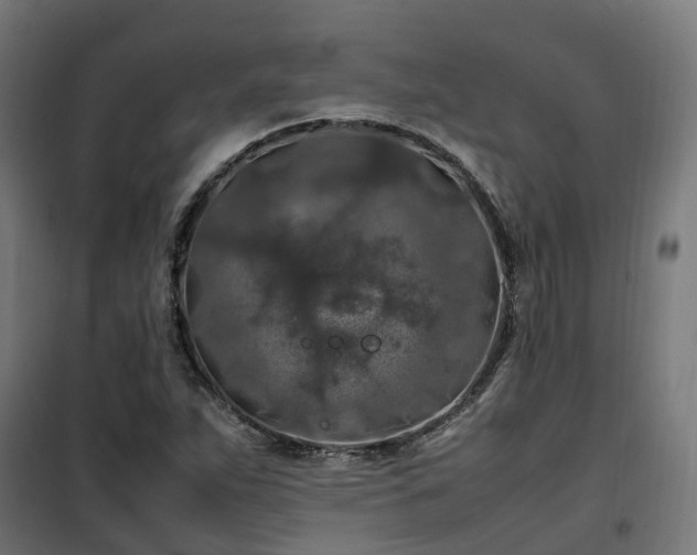 X0000100491263200806201644