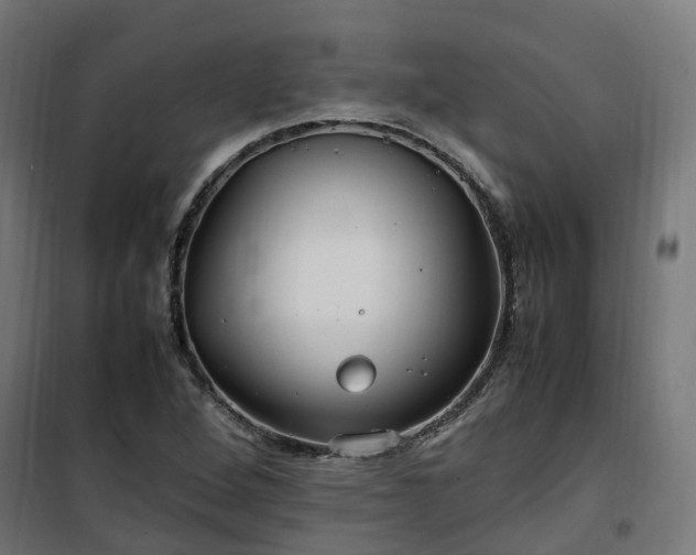 X0000100491264200806201644
