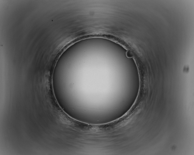 X0000100491265200806201644