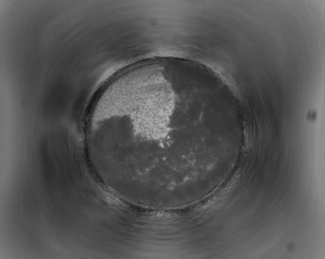 X0000100491266200806201644