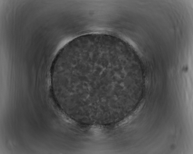 X0000100491267200806201644