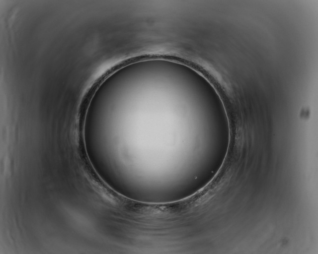X0000100491270200806201644