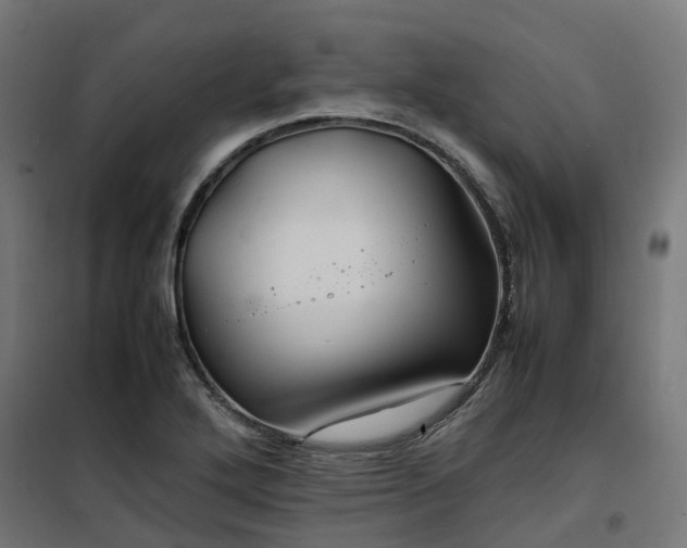 X0000100491272200806201644