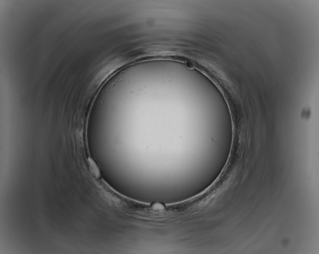 X0000100491273200806201644