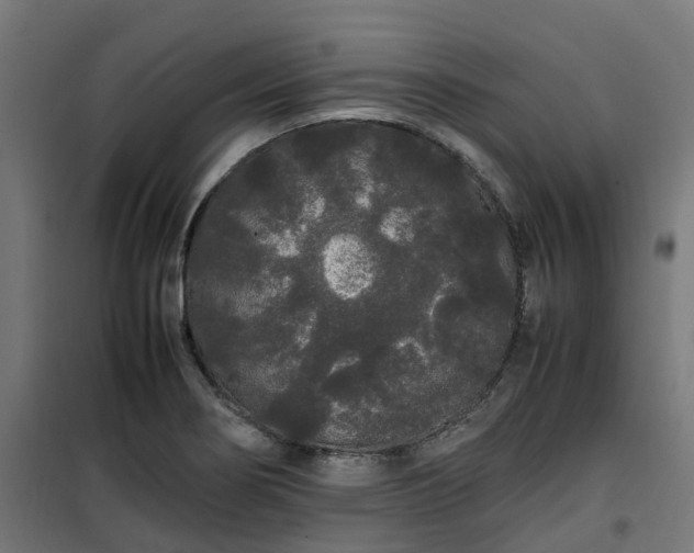 X0000100491274200806201644