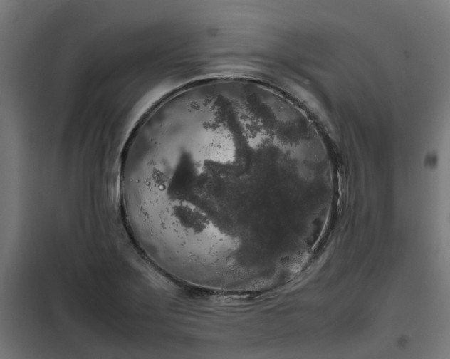 X0000100491275200806201644