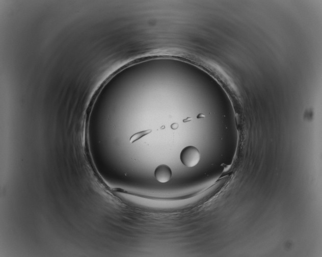 X0000100491276200806201644