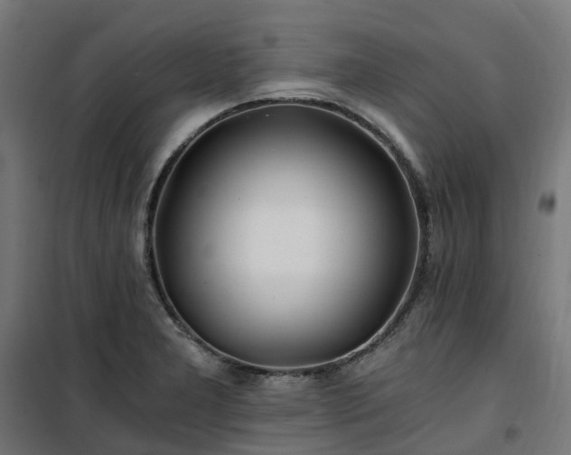 X0000100491277200806201644