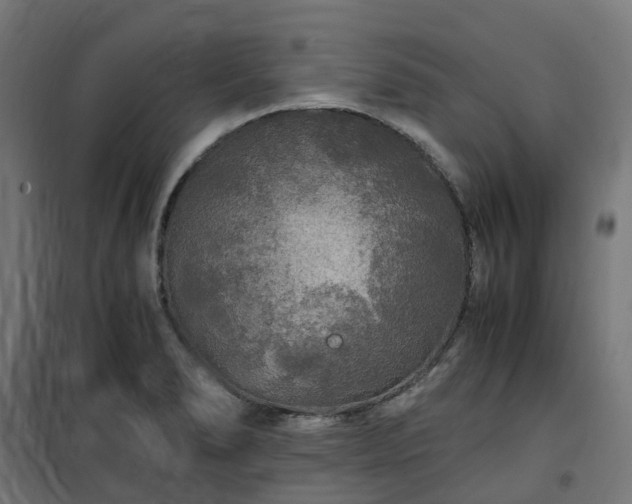 X0000100491278200806201644