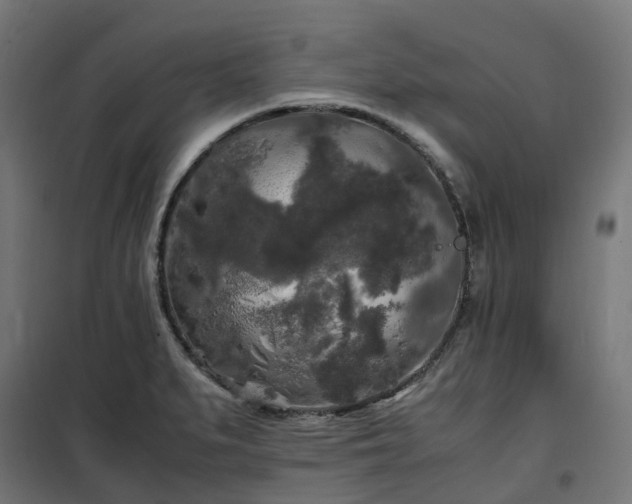X0000100491279200806201644