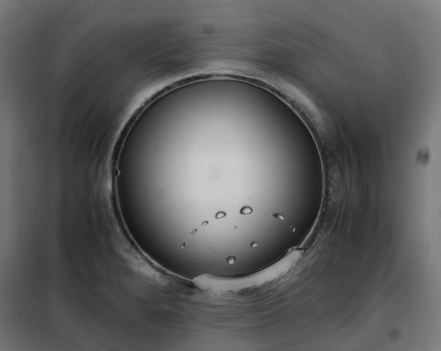 X0000100491280200806201644