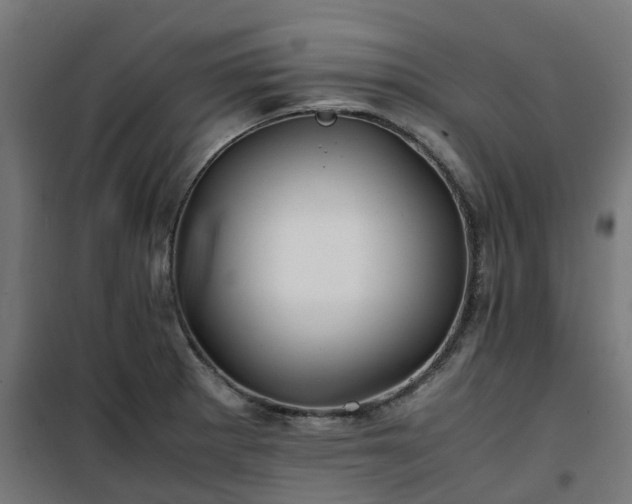 X0000100491281200806201644