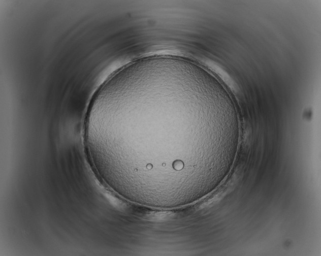 X0000100491282200806201644