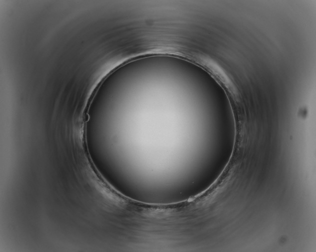 X0000100491284200806201644