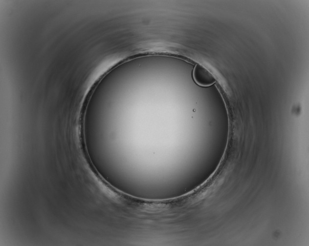 X0000100491285200806201644