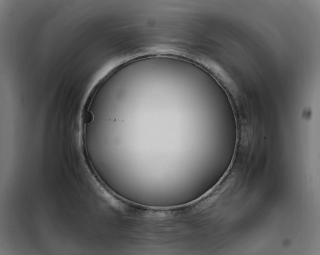 X0000100491286200806201644
