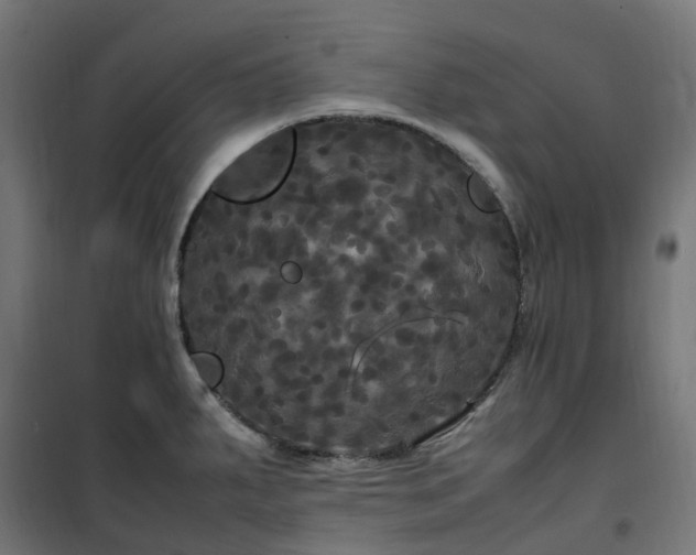 X0000100491287200806201644