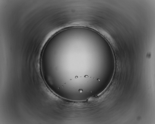 X0000100491288200806201644
