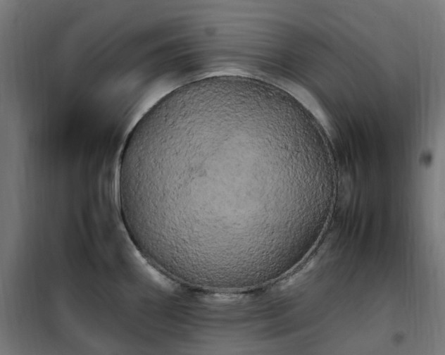X0000100491290200806201644