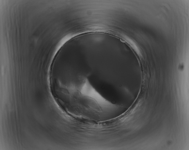 X0000100491291200806201644