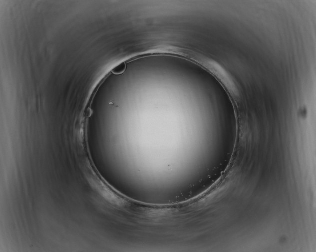 X0000100491292200806201644