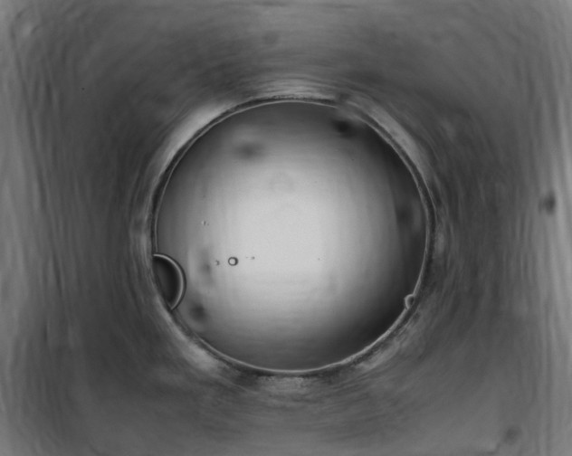 X0000100491293200806201644