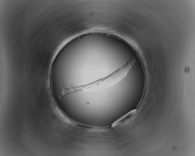 X0000100491296200806201644