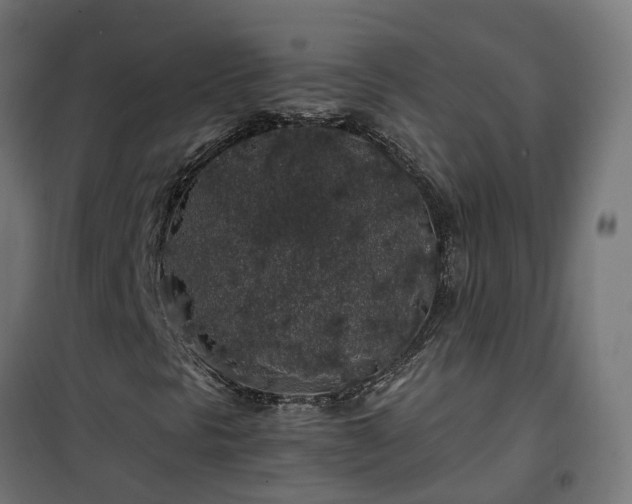 X0000100491297200806201643