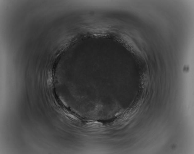 X0000100491298200806201643