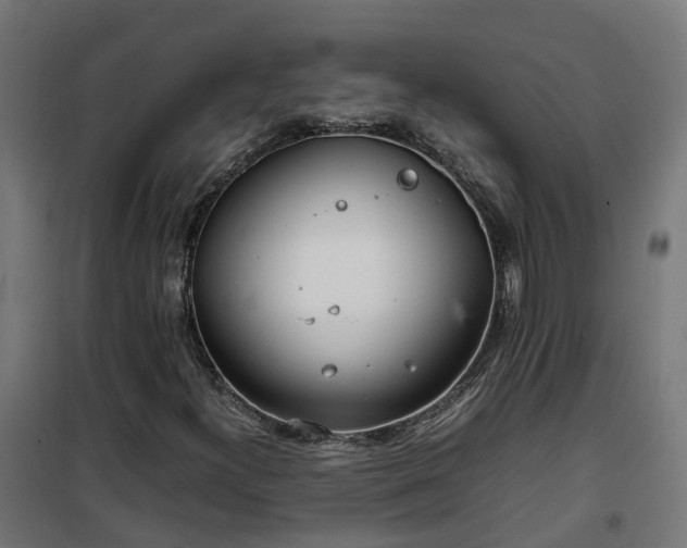 X0000100491300200806201643