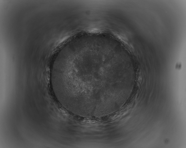 X0000100491301200806201643