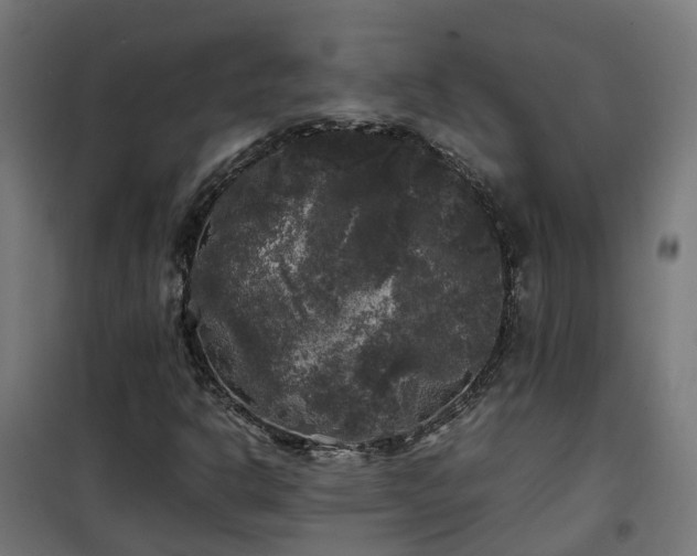 X0000100491302200806201643