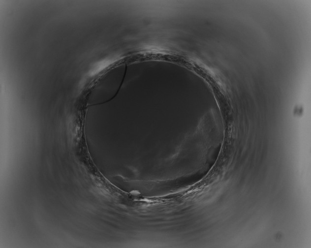 X0000100491303200806201643