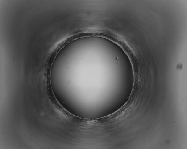 X0000100491304200806201643