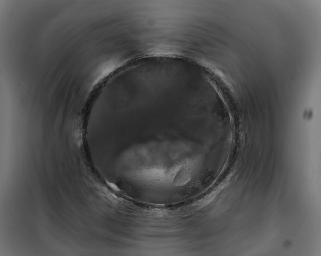 X0000100491306200806201643