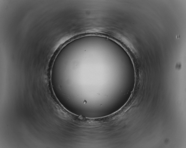 X0000100491308200806201643