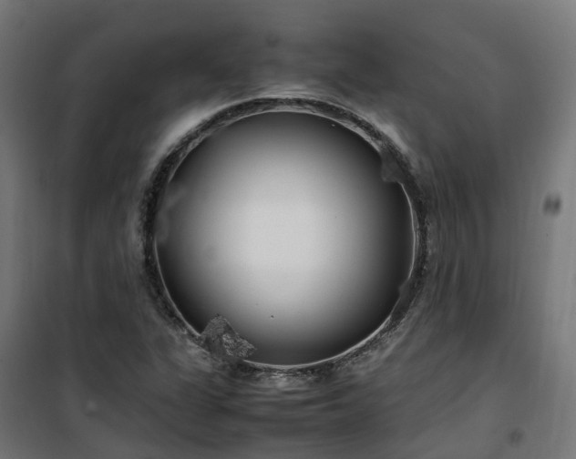 X0000100491311200806201644