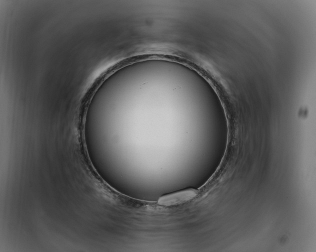 X0000100491312200806201644