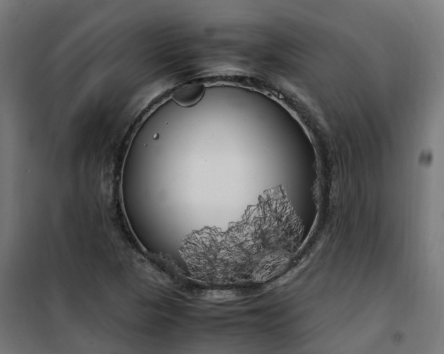 X0000100491313200806201644