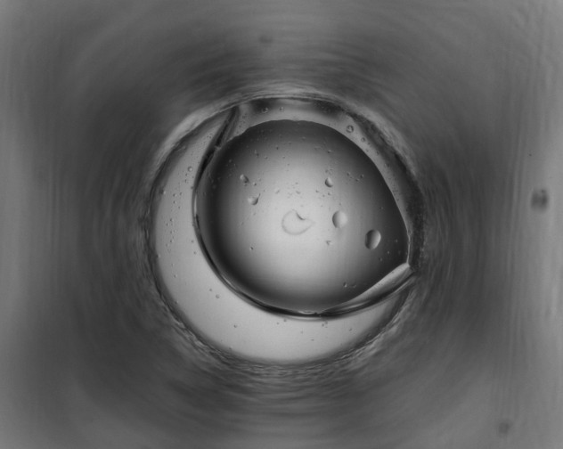 X0000100491314200806201644