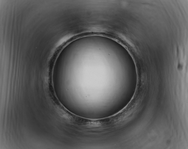X0000100491315200806201644