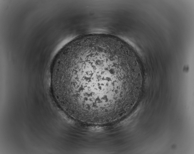 X0000100491317200806201644