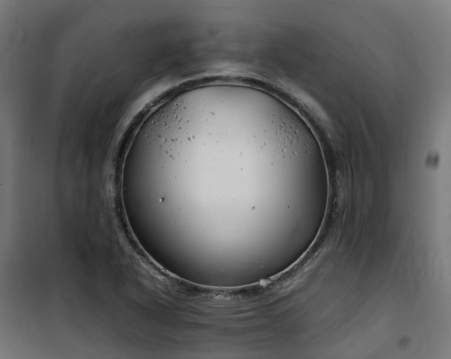 X0000100491318200806201644