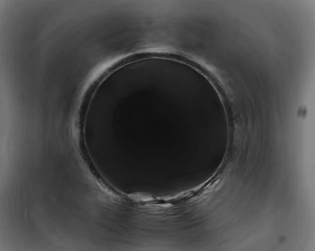 X0000100491319200806201644