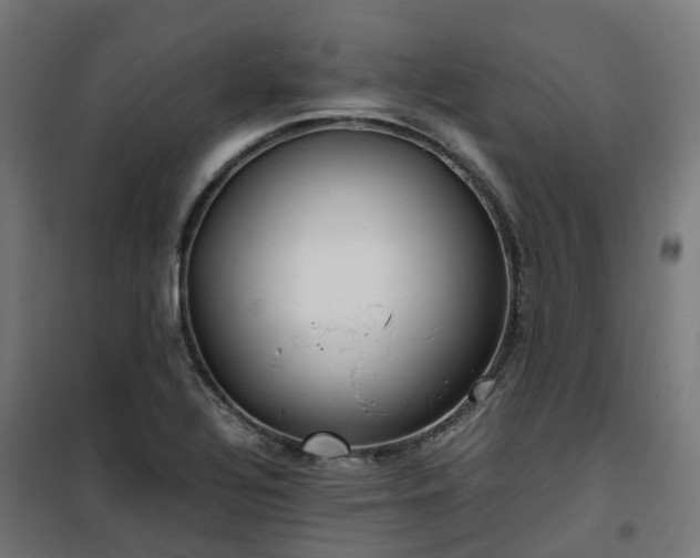 X0000100491320200806201644
