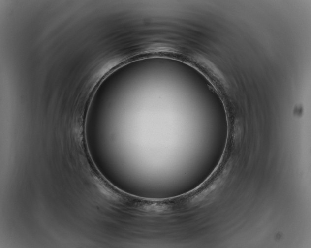 X0000100491321200806201644