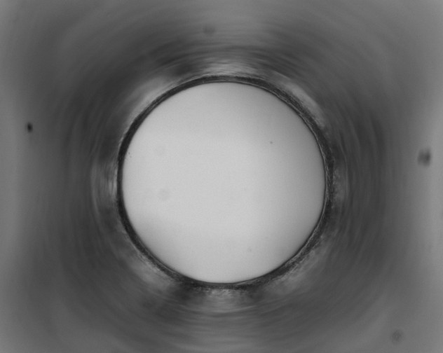 X0000100491322200806201644