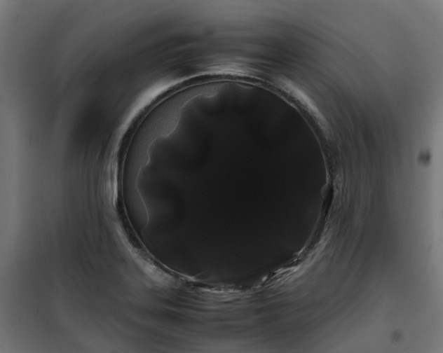 X0000100491323200806201644