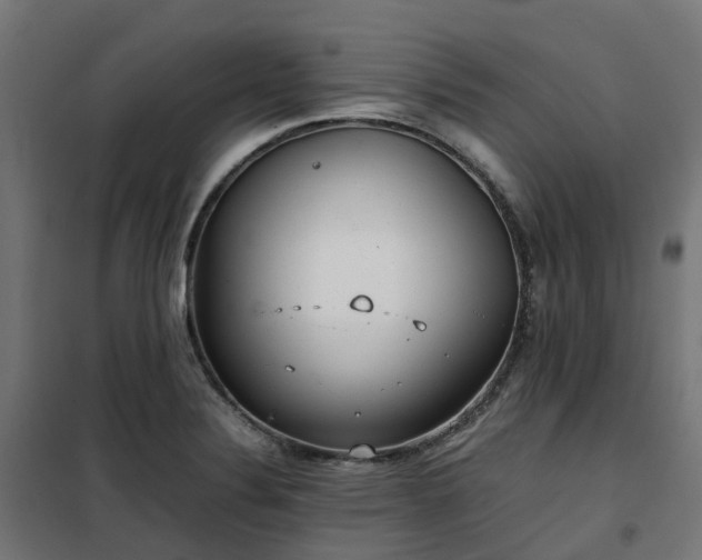 X0000100491324200806201644